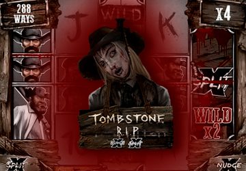 Microgaming - игровой автомат онлайн от Various с RTP 96.88%
